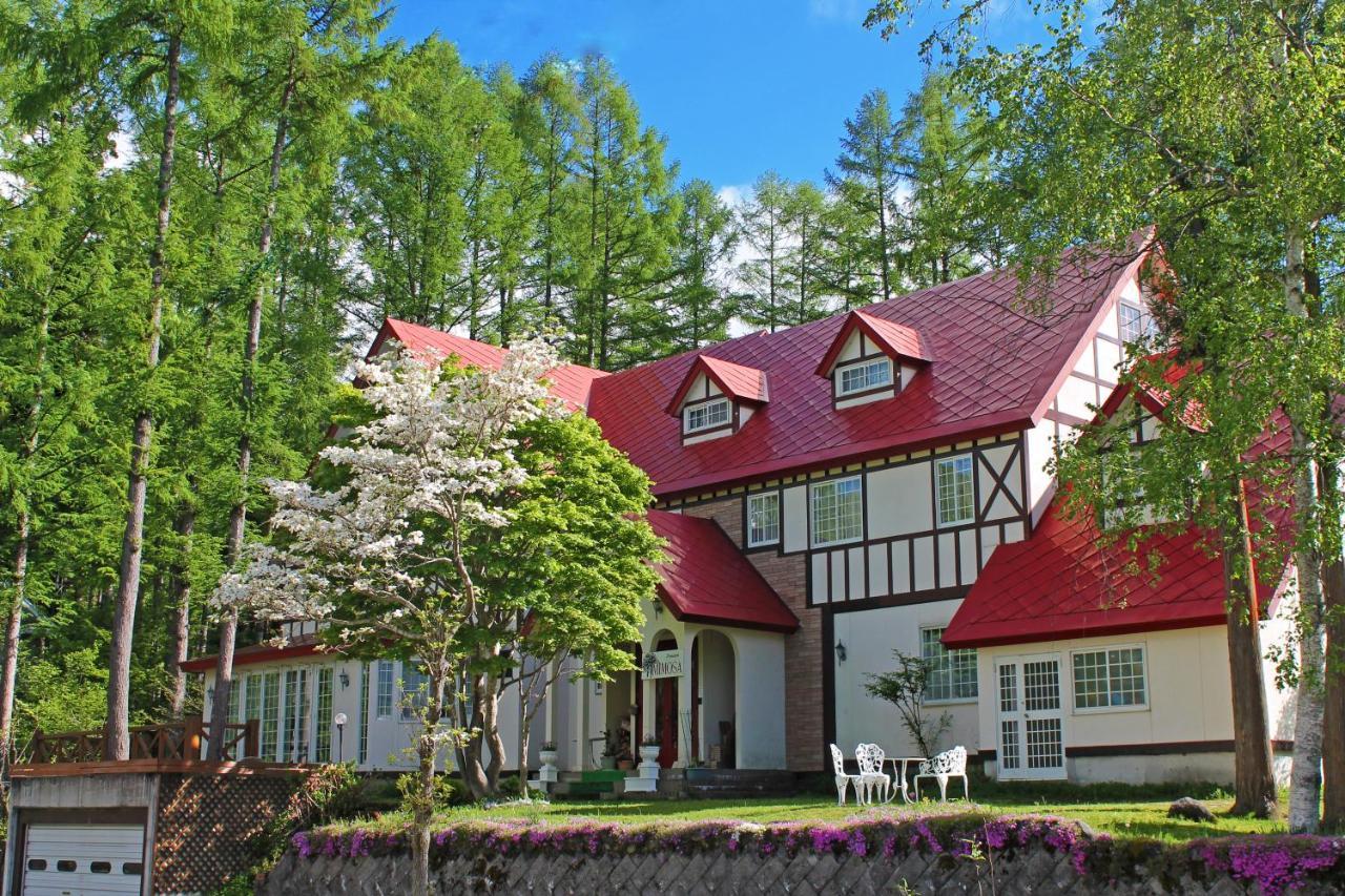 Hotel ピュアモール ミモザ Hakuba Exterior foto